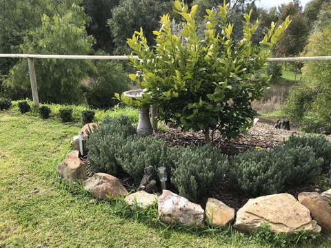 Adagio In Auburn - Holiday Adelaide 18