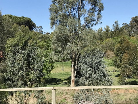 Adagio In Auburn - Holiday Adelaide 25