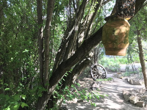 Adagio In Auburn - Holiday Adelaide 22