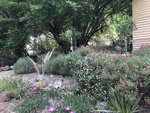 Adagio In Auburn - Holiday Adelaide 10