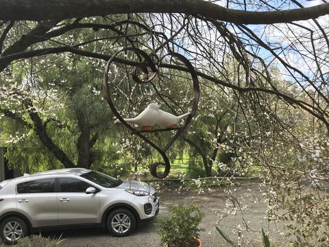 Adagio In Auburn - Holiday Adelaide 3