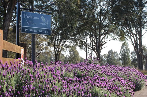 Beltana Villas - Holiday Adelaide 10