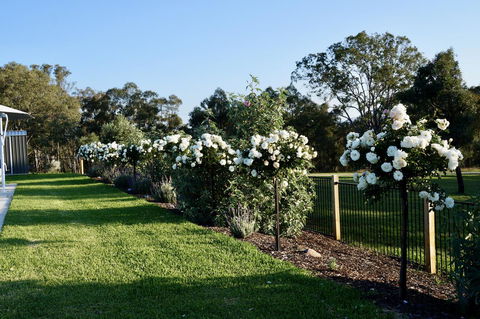Beltana Villas - Holiday Adelaide 2