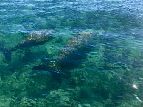 Escape 2 Exmouth - Holiday Adelaide 28