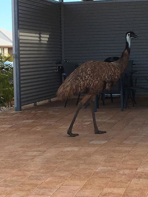 Escape 2 Exmouth - Holiday Adelaide 15