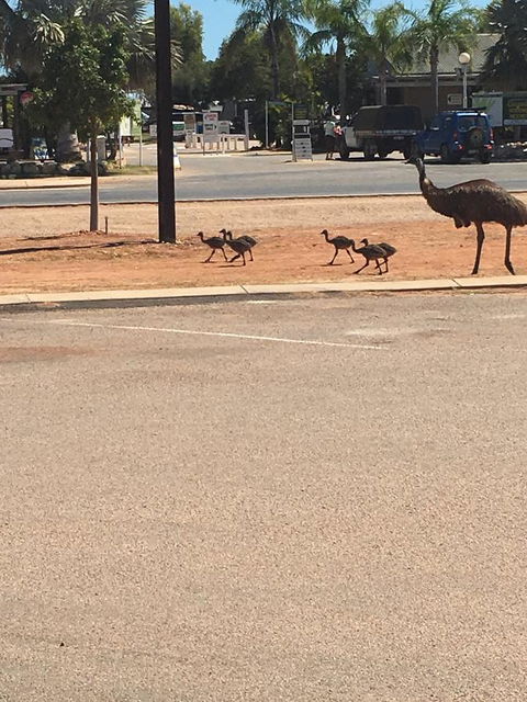 Escape 2 Exmouth - Holiday Adelaide 29