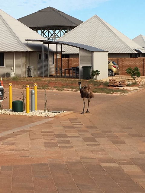 Escape 2 Exmouth - Holiday Adelaide 16