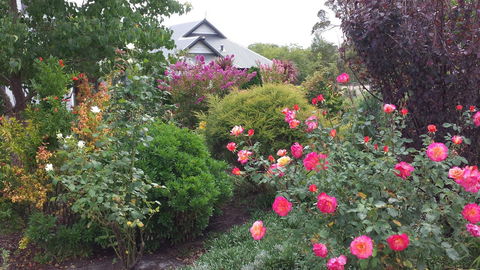 Glenelg On King Bed & Breakfast - Holiday Adelaide 15
