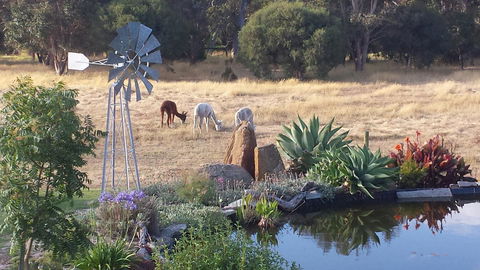 Glenelg On King Bed & Breakfast - Holiday Adelaide 19