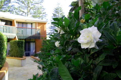 The Crest Byron Bay - Holiday Adelaide 29