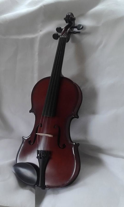 182 Anson Street - Holiday Adelaide 2