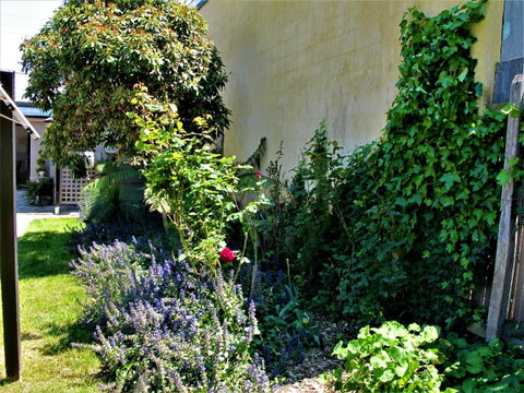 Apple Tree Cottage - Holiday Adelaide 24