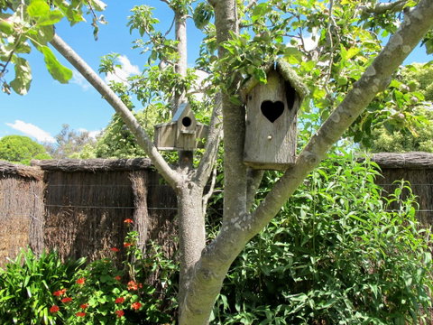 Apple Tree Cottage - Holiday Adelaide 28