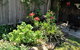 Apple Tree Cottage - thumb 26