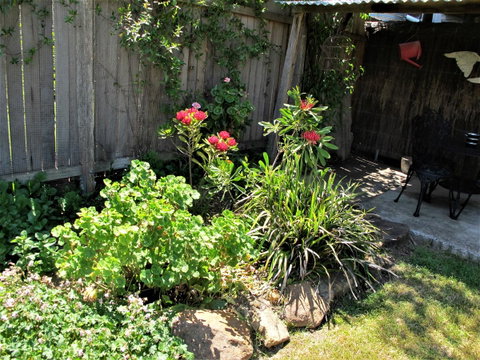 Apple Tree Cottage - Holiday Adelaide 26