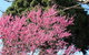 Apple Tree Cottage - thumb 31