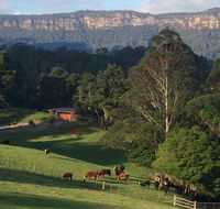 Amaroo Valley Springs - Holiday Adelaide