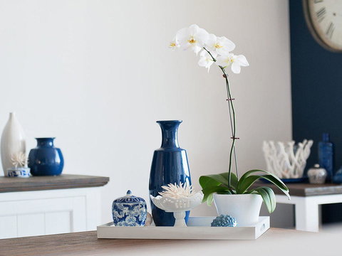 Blue View @ Fingal Bay - Holiday Adelaide 8