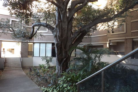 Fiori Apartments - Holiday Adelaide 32