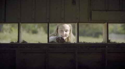 The Woods Farm Jervis Bay - Holiday Adelaide 11