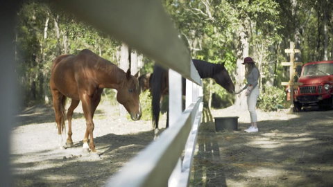 The Woods Farm Jervis Bay - Holiday Adelaide 13