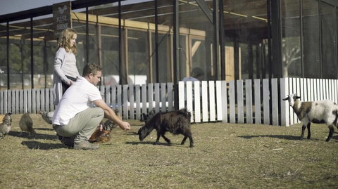 The Woods Farm Jervis Bay - Holiday Adelaide 14