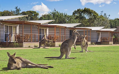 Discovery Parks - Pambula Beach - Holiday Adelaide 0