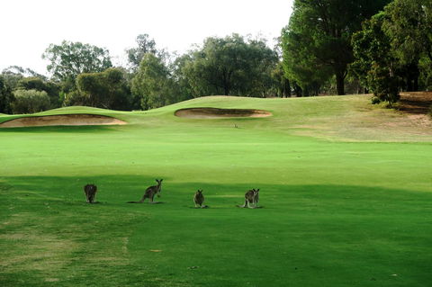 Mulwala Resort - Holiday Adelaide 40