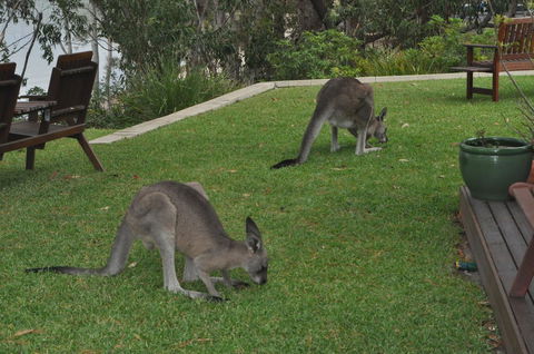 By The Beach B&B Self Contained Apartments - Holiday Adelaide 28