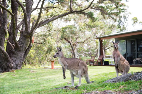 By The Beach B&B Self Contained Apartments - Holiday Adelaide 17