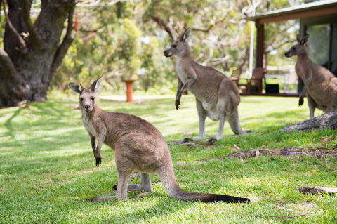 By The Beach B&B Self Contained Apartments - Holiday Adelaide 16