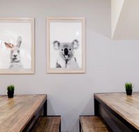 Mad Monkey Backpackers on Broadway - Holiday Adelaide