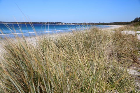Sandy Toes Beach House Jervis Bay - 2min To Beach - Holiday Adelaide 23