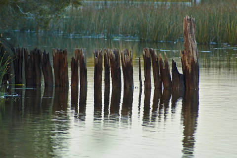 Estoy Cabarita - Holiday Adelaide 7