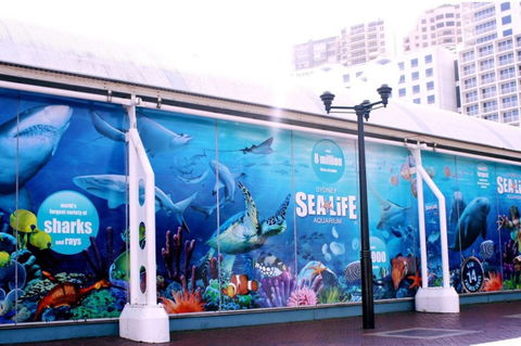 Sydney CBD Brand New Apartments With Hyde Park View - Holiday Adelaide 23