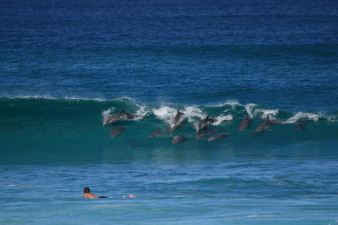 Glen Villa Resort - Holiday Adelaide 18