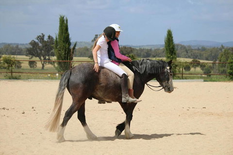 Belisi Farmstay Cottage - Holiday Adelaide 28