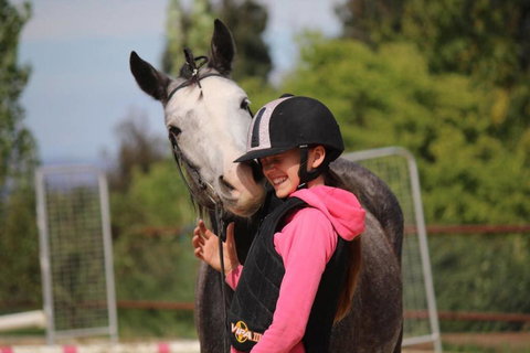 Belisi Farmstay Cottage - Holiday Adelaide 30