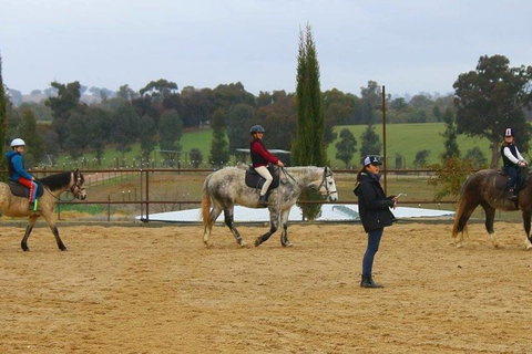 Belisi Farmstay Cottage - Holiday Adelaide 34