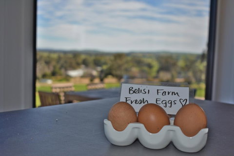 Belisi Farmstay Cottage - Holiday Adelaide 20