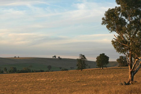 Belisi Farmstay Cottage - Holiday Adelaide 33