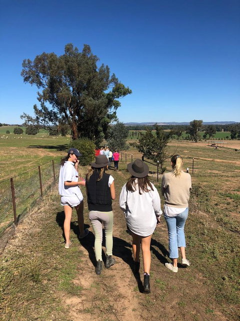 Belisi Farmstay Cottage - Holiday Adelaide 7