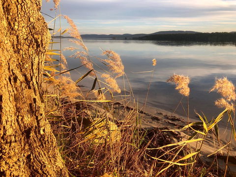 Lakeview Cottage - Holiday Adelaide 14