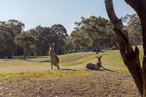 Horizons Retreat & Golf, Villa 133 - Holiday Adelaide 18