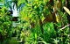 Palms City Resort - thumb 14