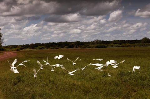 Wildman Wilderness Lodge - Holiday Adelaide 20