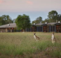 Wildman Wilderness Lodge - Holiday Adelaide