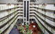 Novotel Darwin CBD - thumb 3