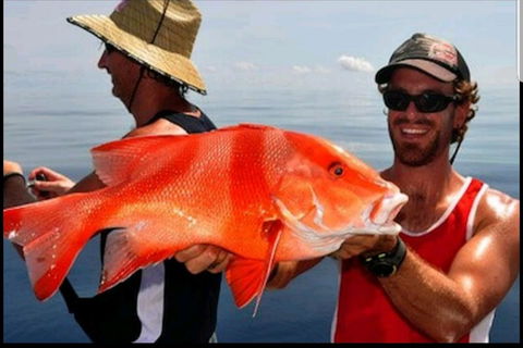 Darwin Beach Escape Holiday Home - Holiday Adelaide 39
