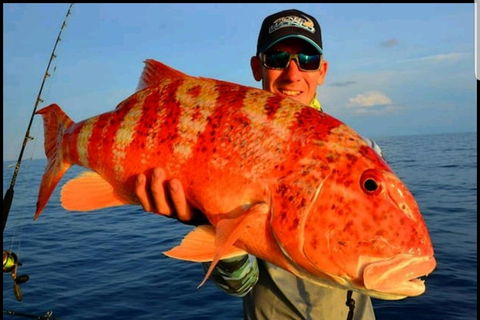 Darwin Beach Escape Holiday Home - Holiday Adelaide 15
